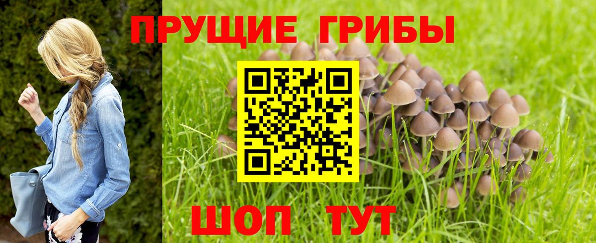 Галлюциногенные грибы GOLDEN TEACHER Усть-Илимск