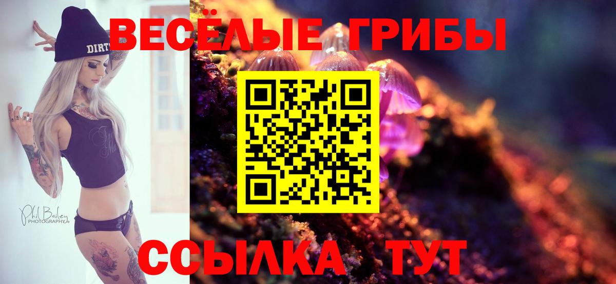 Галлюциногенные грибы ЛСД  Галлюциногенные грибы ЛСД  Вход с VPN  Усть-Илимск 